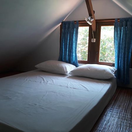 Le Jardin Hotel Amed Szoba fotó